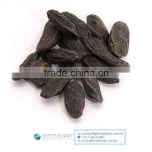 TONKA BEAN (ON SALE!) thumbnail-1