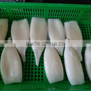 Frozen Squid Tube Fish U5 thumbnail-1