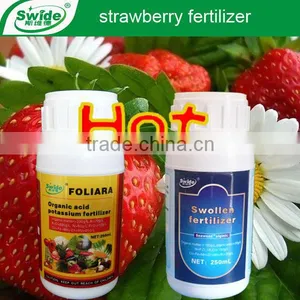 Liquid Foliar Fertilizer For Strawberry thumbnail-1