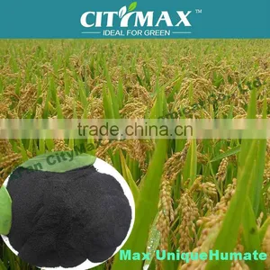 100% Natural Green Water Soluble Bulk Foliar Fertilizer for Rice thumbnail-1