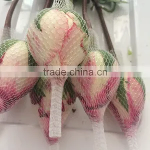 Grade A Fresh Rose Flowers Fresh-cut Roses thumbnail-1
