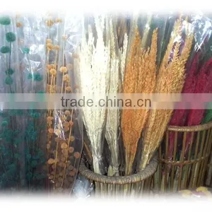 Grass Inflorescence Artificial Flower GI-01 thumbnail-1