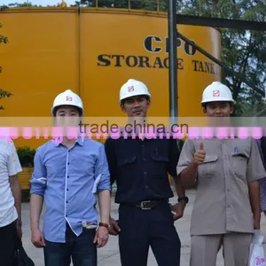 Most Popular Bottom Price in Africa 40TPH Palm Oil Equipment thumbnail-6