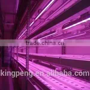 Plant Factory in Container thumbnail-1