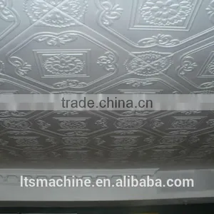 Styrofoam/ps Foam Ceiling Tiles Machine thumbnail-1