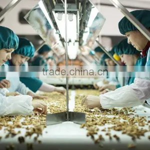 Walnut Kernel Multiple Layer Continuous Type Mesh Belt Dryer thumbnail-4