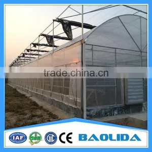 Factory Price Greenhouse From China Supplier thumbnail-1