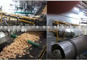 Chips Roasting Oven Dryer Machine b thumbnail-1