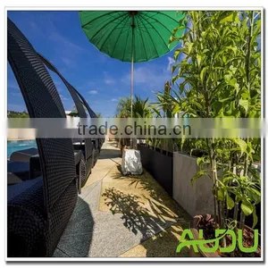 Audu Puket Sunshine Hotel Project Beach SunBed thumbnail-1