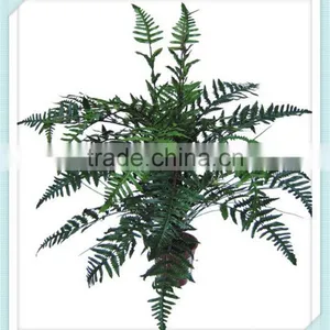 Artificial Outdoor and Indoor Fern Plants for Decoration thumbnail-1