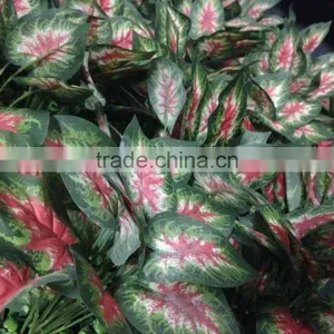 High Quality Artificial Plant Wall Fake Wall Plant thumbnail-5