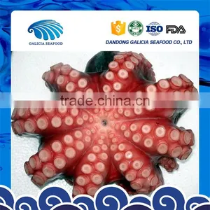 Cheap Frozen Whole Octopus Flower With Various Sizes thumbnail-1