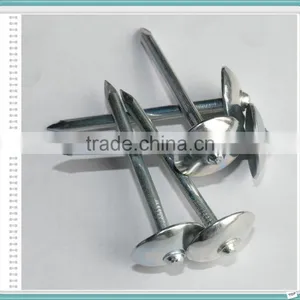 E.G. Umbrella Head Roofing Nails With Low Price From China thumbnail-5