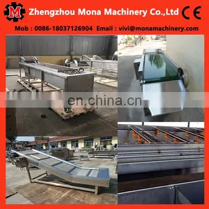 Full Automatic Root Vegetable Washing Cleaning Peeling Skinning Blanching Machine thumbnail-4