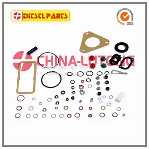 Fuel Injection Pump Repair 7135-110 Diesel Pump Repair Kits thumbnail-1