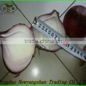 (CHINA) Red Dried Fresh Onion /Fresh Onion thumbnail-3