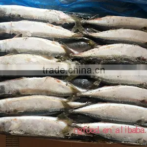 Frozen Mackerel Fish Whole Round thumbnail-3