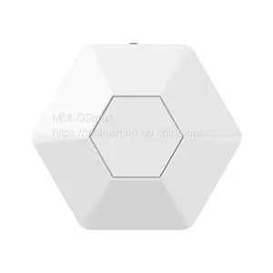 BLE & LoRaWAN Sensor thumbnail-1