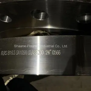 CLASS 300 ASME B16.5 Welding Neck Flange SCH40 / STD ASTM SA105N thumbnail-2