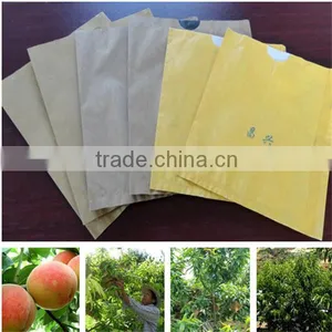 Paper Material Fruit Paper Bag thumbnail-1
