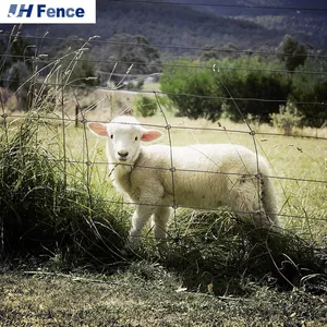 Farm Animal Goat Deer Fence Livestock Fence Cattle Horse Sheep Grassland Fence thumbnail-4