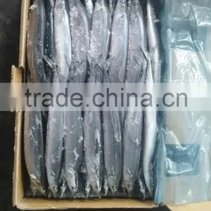 Frozen Whole Round Pacific Saury Scientific Name Cololabis Saira thumbnail-3