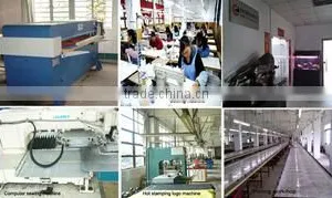 Shenzhen Domil Bags Co., Ltd. company overview - view 2 thumbnail