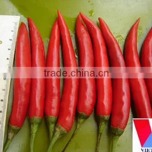 Fresh Red Big Chili thumbnail-1