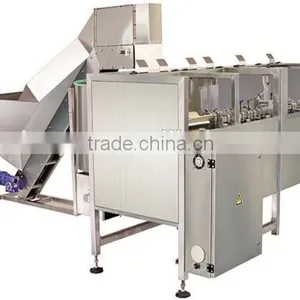 Best Price Fully Automatic Bottle Unscrambler, Italy Technology Model thumbnail-1