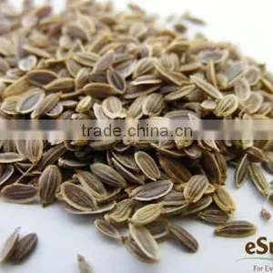100% Pure Natural Dill Seed Essential Oil thumbnail-1