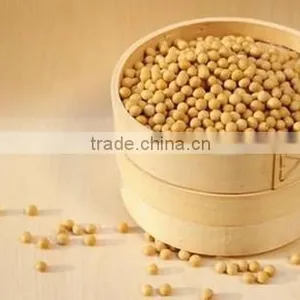 Natural 98% Lecithin Soybean Extract Powder thumbnail-1