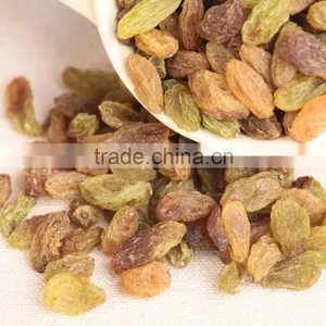 2015 Xinjiang Turpan Green Raisins Dried Grapes thumbnail-1