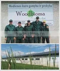 Jsc Woodbioma company overview - view 3 thumbnail
