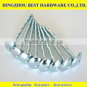 Galvanized Umbrella Head Twisted Roofing Nail thumbnail-2