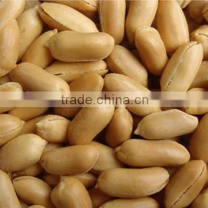 Canned Roasted Nuts thumbnail-2