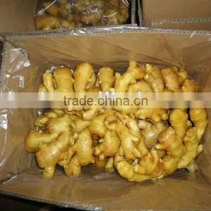 Chinese Fresh Ginger Export Price 2016 thumbnail-2