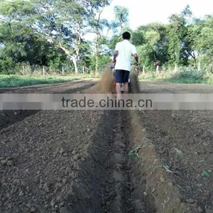 Lead Market Machine Onion Bed Machine for Hilling Furrowing in Luke thumbnail-4