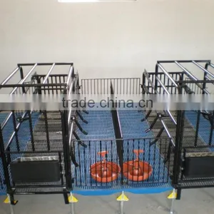 Pig Farrowing Crate thumbnail-4