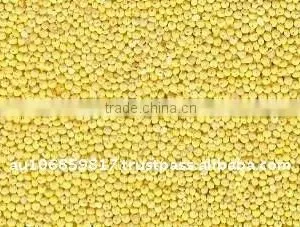 Organic Hulled Millet thumbnail-1
