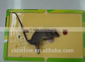 Best Selling Quality Factory Direct Supply Mouse Glue Trap thumbnail-4