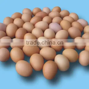 FRESH CHICKEN EGGS thumbnail-3