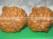 Walnut thumbnail-1