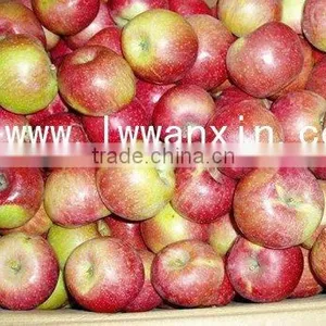 Chinese Jiguan Apple thumbnail-1