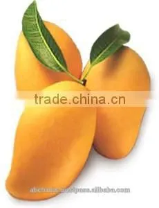 The Best Alphonso Mango Pulp thumbnail-1