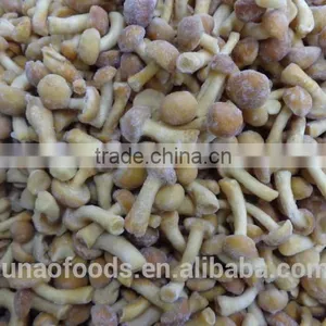 Grade A Chinese Nameko Mushroom Spawn for Sale thumbnail-3