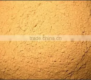 Cinnamon Powder thumbnail-1