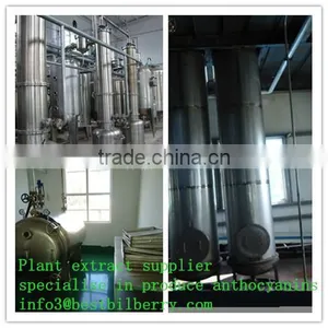 Tumeric Extract Tumeric P.e Powder thumbnail-2