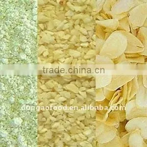 Dehydrated Garlic Slice thumbnail-1