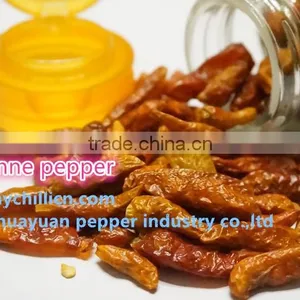 Cayenne Pepper thumbnail-2