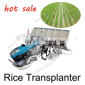Walking Type Paddy Transplanting Hand Paddy Transplanting Machine 2ZS-6A thumbnail-1